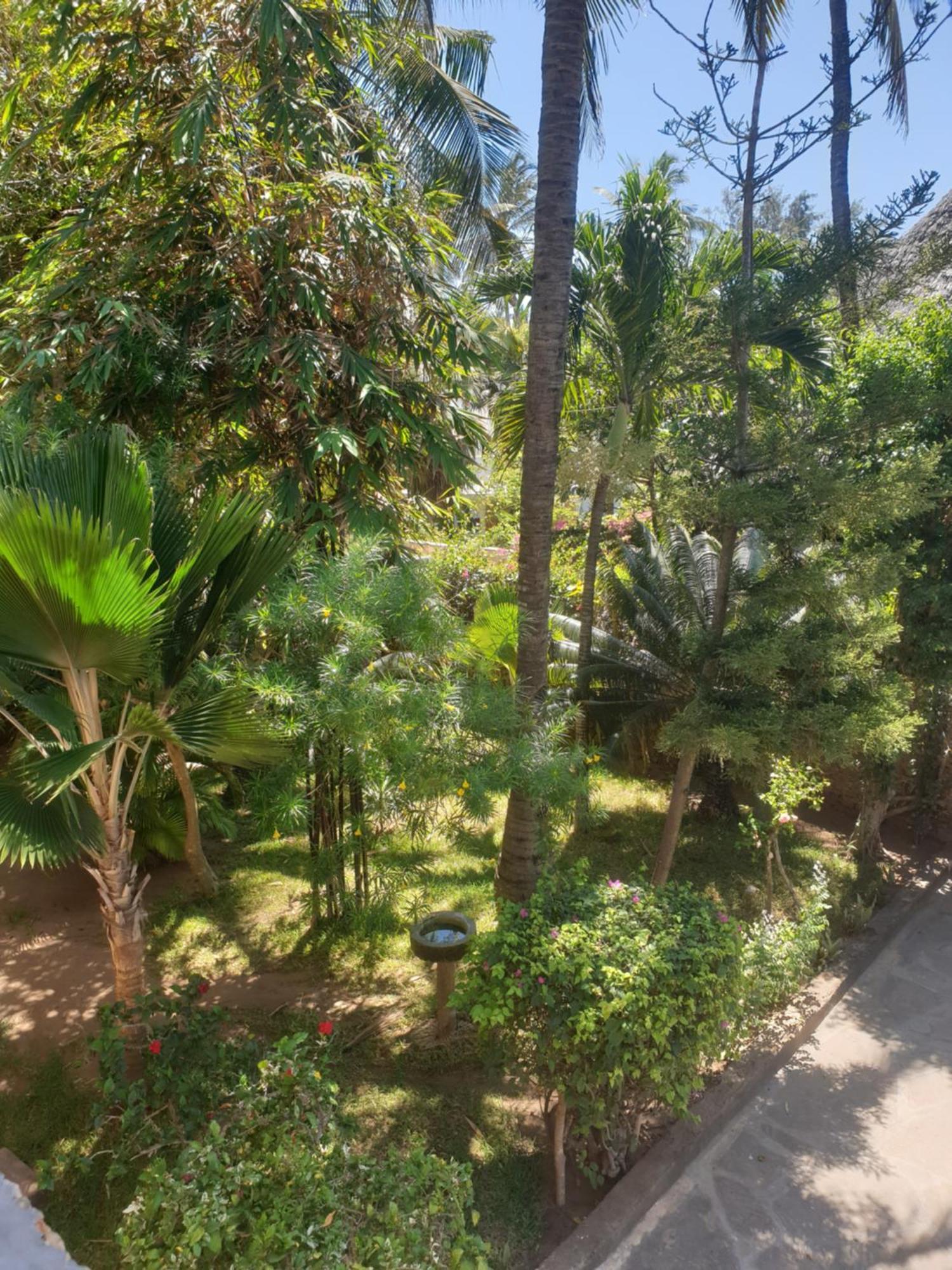 Marijani Holiday Resort Watamu Bagian luar foto