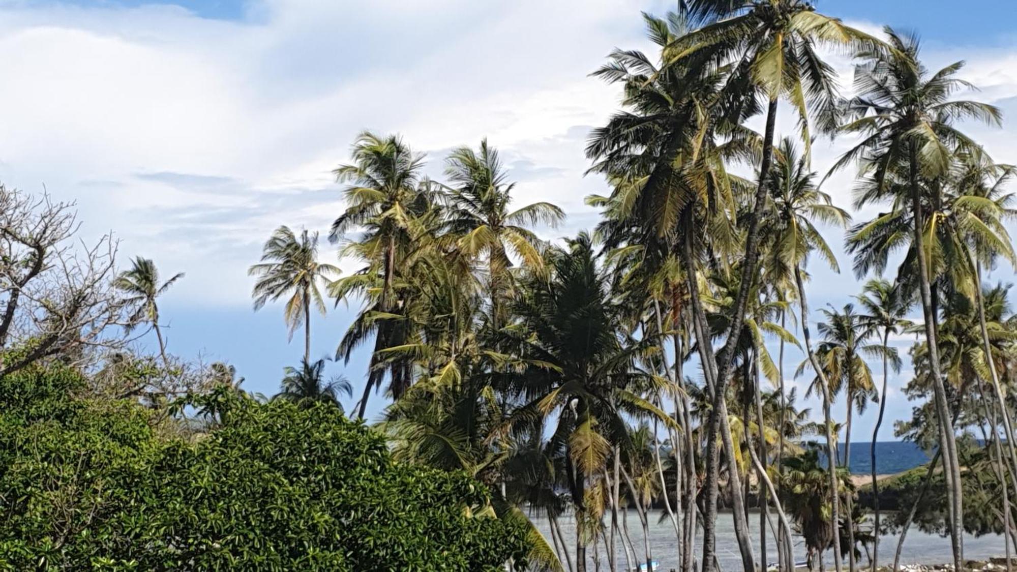 Marijani Holiday Resort Watamu Bagian luar foto